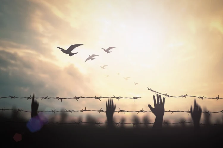 human trafficking lawyer