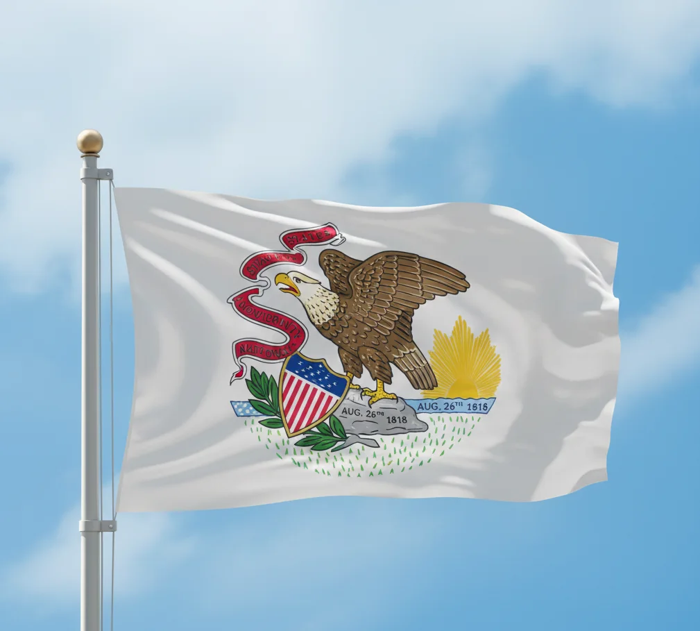 Sexual Abuse in Illinois Treatment Centers