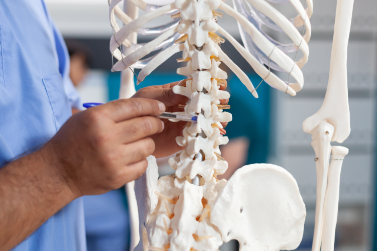 herniated disc lawyer